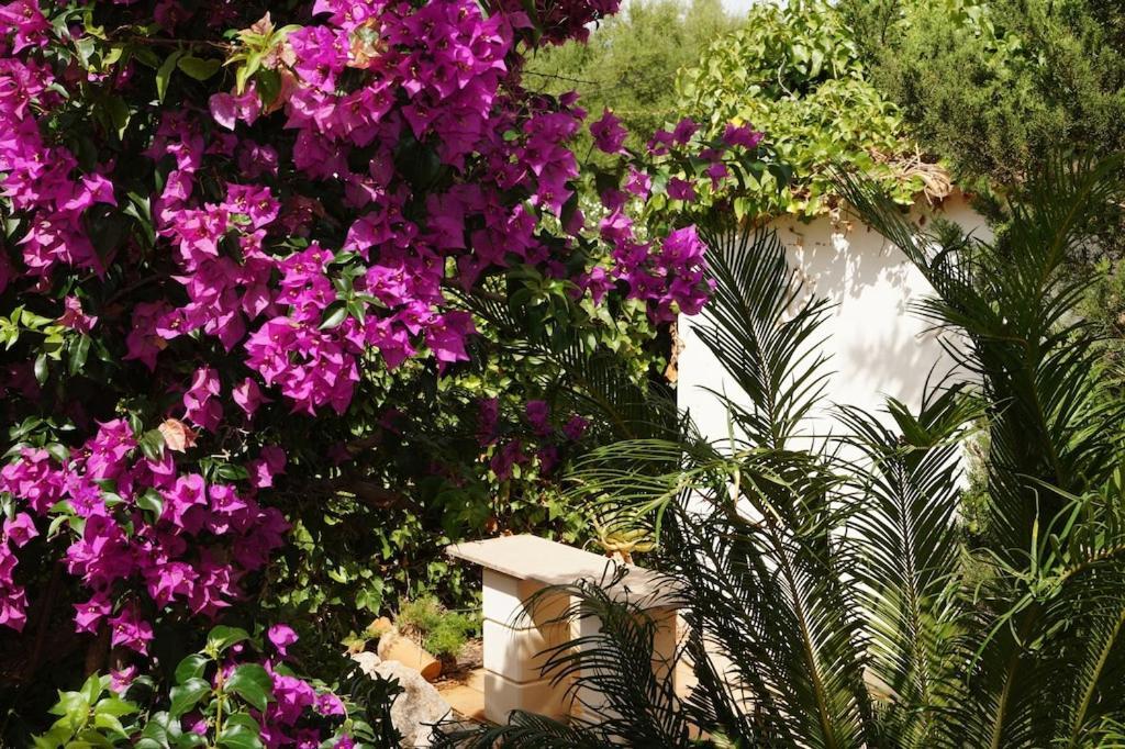 Villa Cala Mendia Cala Mandia  Exteriér fotografie