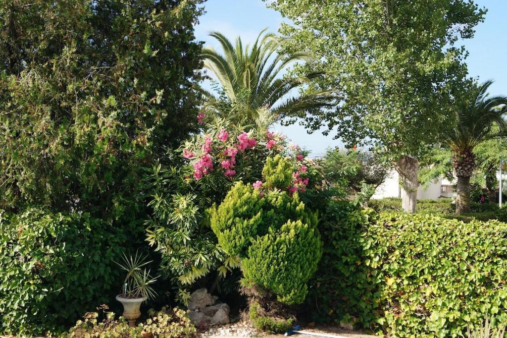 Villa Cala Mendia Cala Mandia  Exteriér fotografie